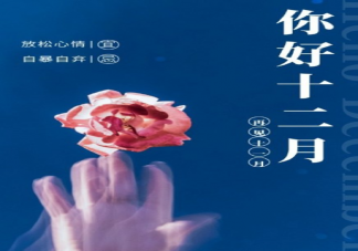 12月你好发朋友圈文案配图 12月你好简短文案句子