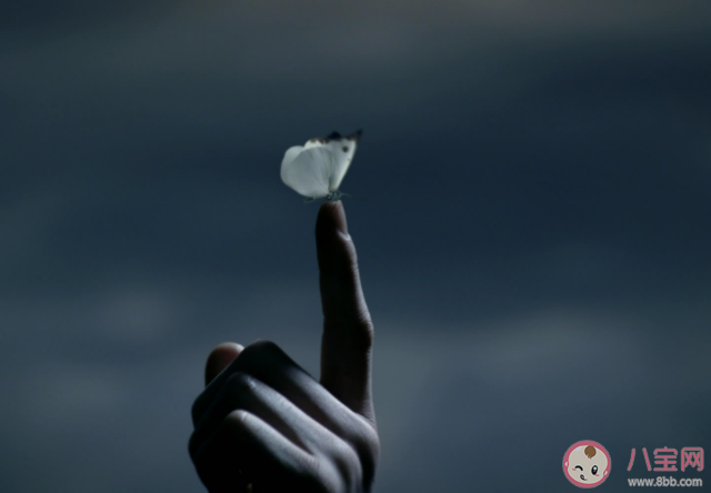 告白是一件有意义的事情吗 表白存在的意义是什么 告白是一件有意义的事情吗 表白存在的意义是什么