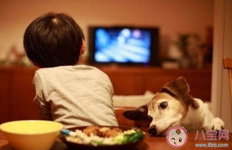 家长应该教会孩子独自在家有人敲门时应怎么做 蚂蚁庄园12月4日答案最新