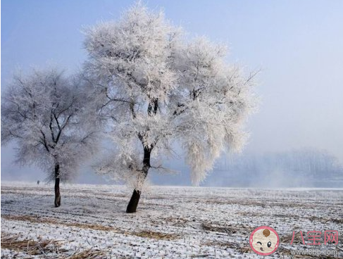 描写下霜的早晨的句子 下霜的早晨怎么形容