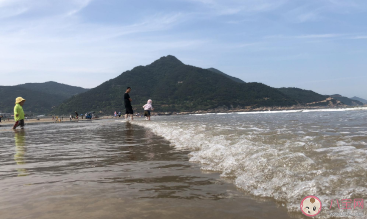 大海为什么会涨潮退潮 大海涨潮退潮时间规律是什么 大海为什么会涨潮退潮 大海涨潮退潮时间规律是什么