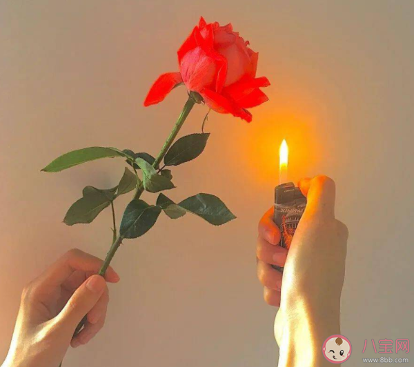 缺爱者为什么比普通人更容易陷入爱情 缺爱的人需要的另一半是什么样 缺爱者为什么比普通人更容易陷入爱情 缺爱的人需要的另一半是什么样