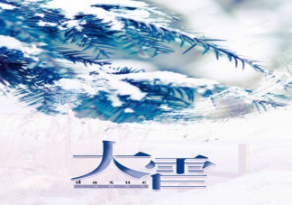 2021大雪节气海报文案怎么写 大雪节气海报文案示例赏析