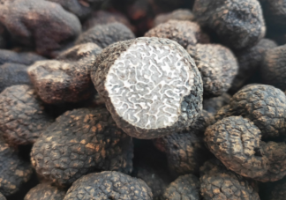 黑松露可以晒干保存吗 新鲜黑松露能放多久