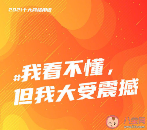2021年度十大网络用语汇总 2021年度十大网络用语含义解读