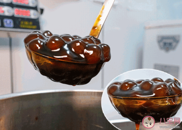 珍珠奶茶珍珠是什么做成的蚂蚁庄园 12月8日答案最新 珍珠奶茶珍珠是什么做成的蚂蚁庄园 12月8日答案最新