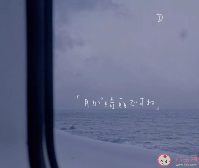 有哪些温柔不落俗的文案句子 温柔不落俗微信朋友圈说说 有哪些温柔不落俗的文案句子 温柔不落俗微信朋友圈说说