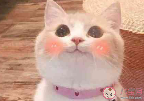 变成异性你会和自己交往吗 你会喜欢异性的自己吗 变成异性你会和自己交往吗 你会喜欢异性的自己吗