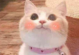 变成异性你会和自己交往吗 你会喜欢异性的自己吗