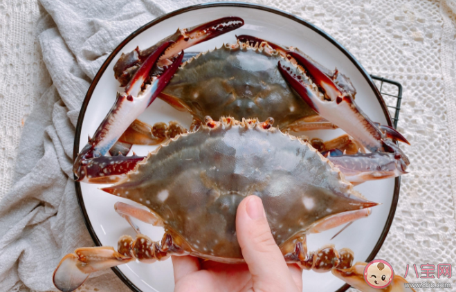 梭子蟹的渔汛一年有几次 蚂蚁庄园12月8日答案解析