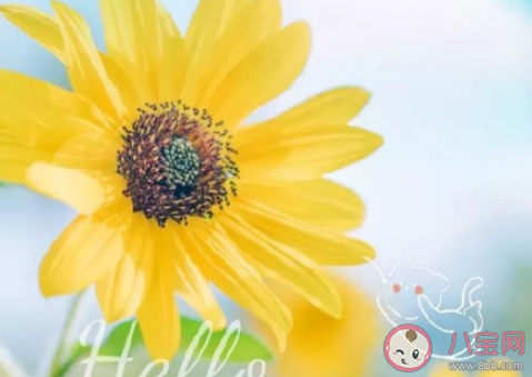 领导借东西不还咋办 怎样要回领导借走的东西 领导借东西不还咋办 怎样要回领导借走的东西