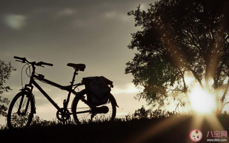 你青春里最遗憾的事是什么 青春有哪些遗憾的事情 你青春里最遗憾的事是什么 青春有哪些遗憾的事情