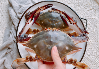 梭子蟹的渔汛一年有几次 蚂蚁庄园12月8日答案解析