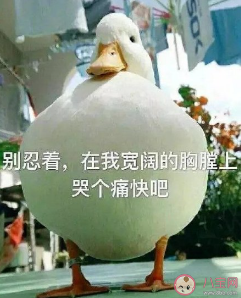 教资没过的朋友圈心情说说 教资又没考过的心情句子