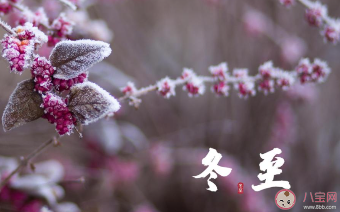 2021冬至快乐问候语简短句子大全 2021冬至快乐的祝福语说说句子 2021冬至快乐问候语简短句子大全 2021冬至快乐的祝福语说说句子