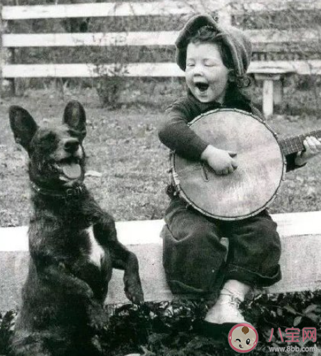 农村题材短视频为什么火 张同学火了的原因是什么 农村题材短视频为什么火 张同学火了的原因是什么