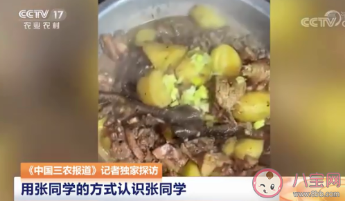 农村题材短视频为什么火 张同学火了的原因是什么 农村题材短视频为什么火 张同学火了的原因是什么