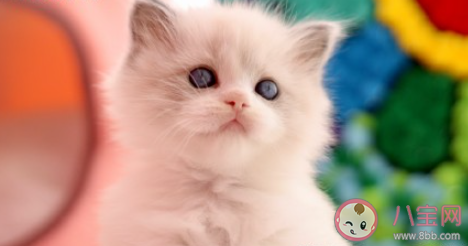 好心态有多重要 怎样保持好的心态 好心态有多重要 怎样保持好的心态