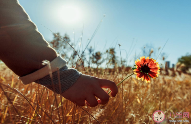 及时止损经典朋友圈语录句子 及时止损微信朋友圈文案 及时止损经典朋友圈语录句子 及时止损微信朋友圈文案