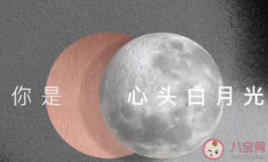 忘不掉白月光的朋友圈说说 一直想着白月光的心情句子