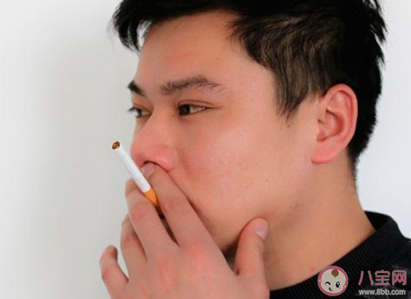 埋在土中的烟头可影响植物生长对吗 蚂蚁新村12月14日答案最新