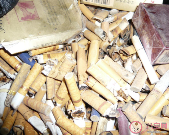 蚂蚁新村埋在土中的烟头影响植物生长正确吗 12月14日答案