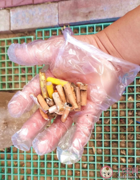 蚂蚁新村埋在土中的烟头影响植物生长正确吗 12月14日答案