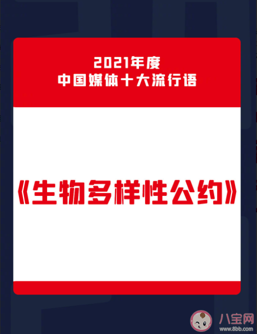 2021年中国媒体十大流行语汇总 中国媒体十大流行语含义解读