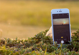 无手机恐惧症普遍吗 为什么都离不开手机