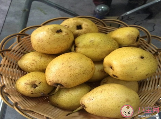 晶黄果品牌是青海省哪个县的著名商标 蚂蚁新村12月15日答案最新