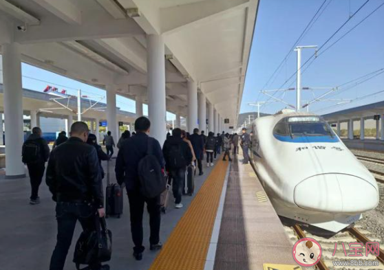 乘坐高铁出行能携带陶瓷水果刀上车吗 蚂蚁庄园12月16日答案介绍