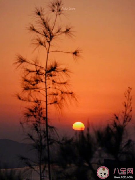 你会将就自己的婚姻吗 婚姻要不要将就 你会将就自己的婚姻吗 婚姻要不要将就