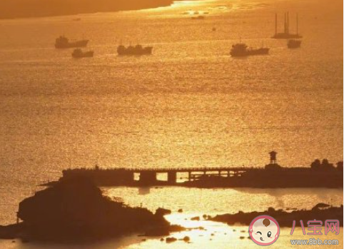 你会将就自己的婚姻吗 婚姻要不要将就 你会将就自己的婚姻吗 婚姻要不要将就