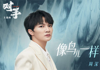 周深对手主题曲《像鸟儿一样》歌词是什么 《像鸟儿一样》完整版歌词在线听歌