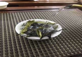 鸭屎香是什么茶 鸭屎香泡起来是什么香味