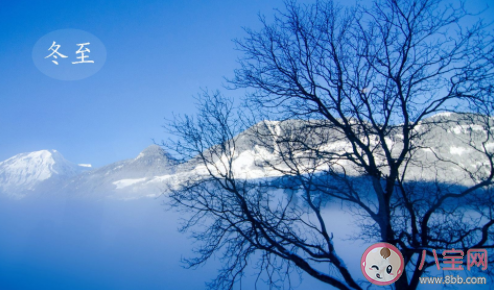 下列哪个是冬至的别称 蚂蚁庄园12月21日答案介绍