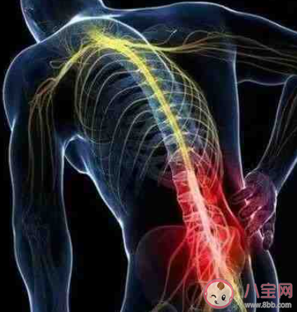 为什么坐久了会腰疼 久坐腰疼该如何缓解