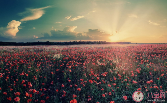 哄自己开心的一个小习惯 有哪些让自己开心的方法 哄自己开心的一个小习惯 有哪些让自己开心的方法