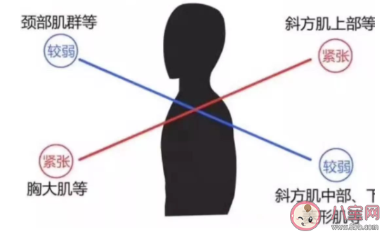 长时间圆肩驼背头前伸有什么危害 如何快速摆脱圆肩驼背