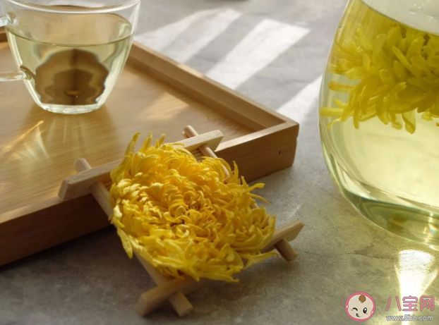 菊花泡水怎么喝效果更好 喝菊花茶的注意事项