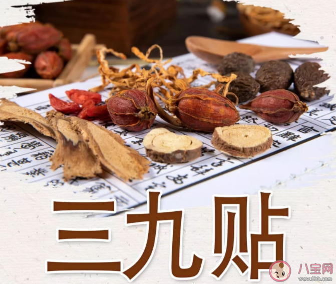 哪些人适合三九贴治病 哪些人不适合贴三九贴