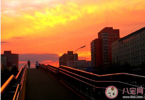 什么是爱情逆商 哪类女生恋爱逆商不高 什么是爱情逆商 哪类女生恋爱逆商不高