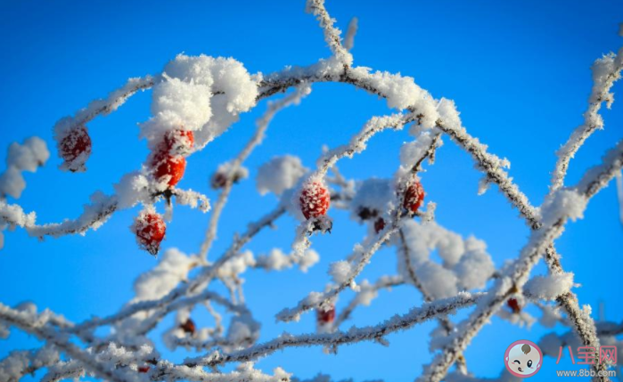2022年第一场雪的朋友圈文案说说 2022年第一场雪的心情文案句子 2022年第一场雪的朋友圈文案说说 2022年第一场雪的心情文案句子