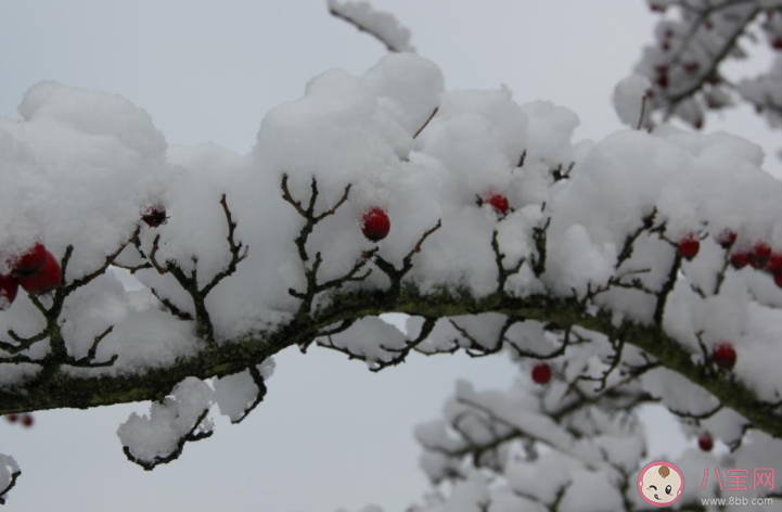 2022年第一场雪的朋友圈文案说说 2022年第一场雪的心情文案句子 2022年第一场雪的朋友圈文案说说 2022年第一场雪的心情文案句子