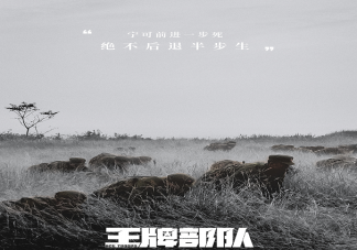 《王牌部队》是不是小说改编的 《王牌部队》各人物结局是什么