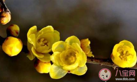 暗恋被发现是什么体验 暗恋被发现的经历分享 暗恋被发现是什么体验 暗恋被发现的经历分享