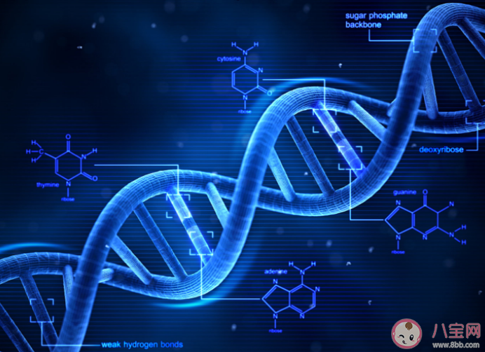 有家族遗传性疾病还可以怀孕吗 遗传病该不该生孩子