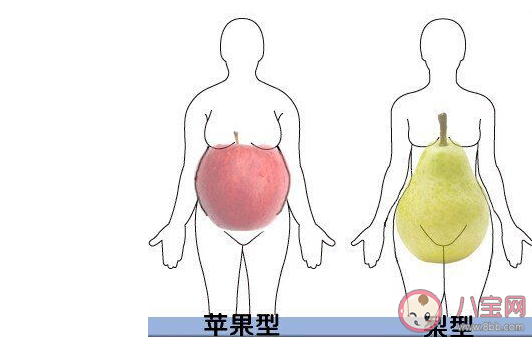 梨型身材和苹果型身材哪个更危险 苹果型肥胖和梨型肥胖有什么区别