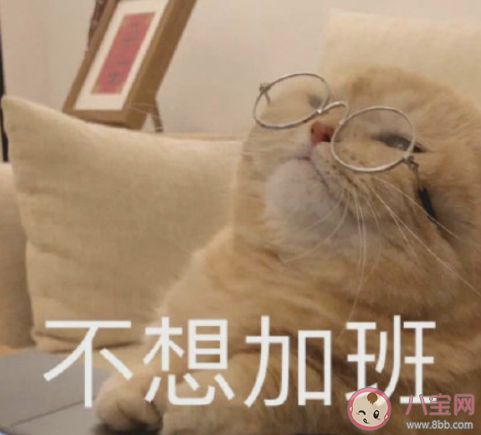 跨年夜加班是什么体验 跨年加班的感受怎样 跨年夜加班是什么体验 跨年加班的感受怎样