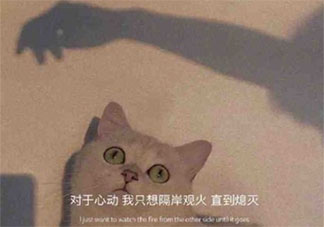 如何看待分手时相互试探 分手时为什么会纠结